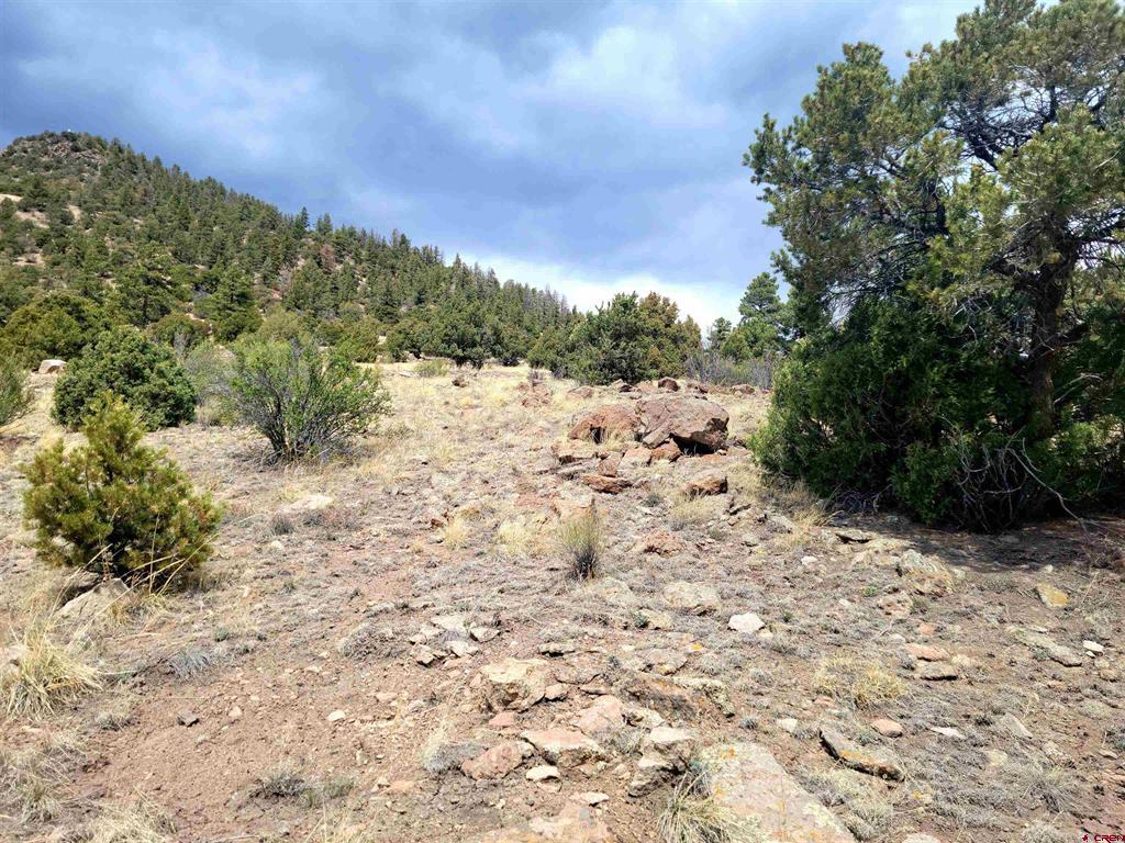 530 Blanca Vista Drive Lot 8 South Fork CO 81154