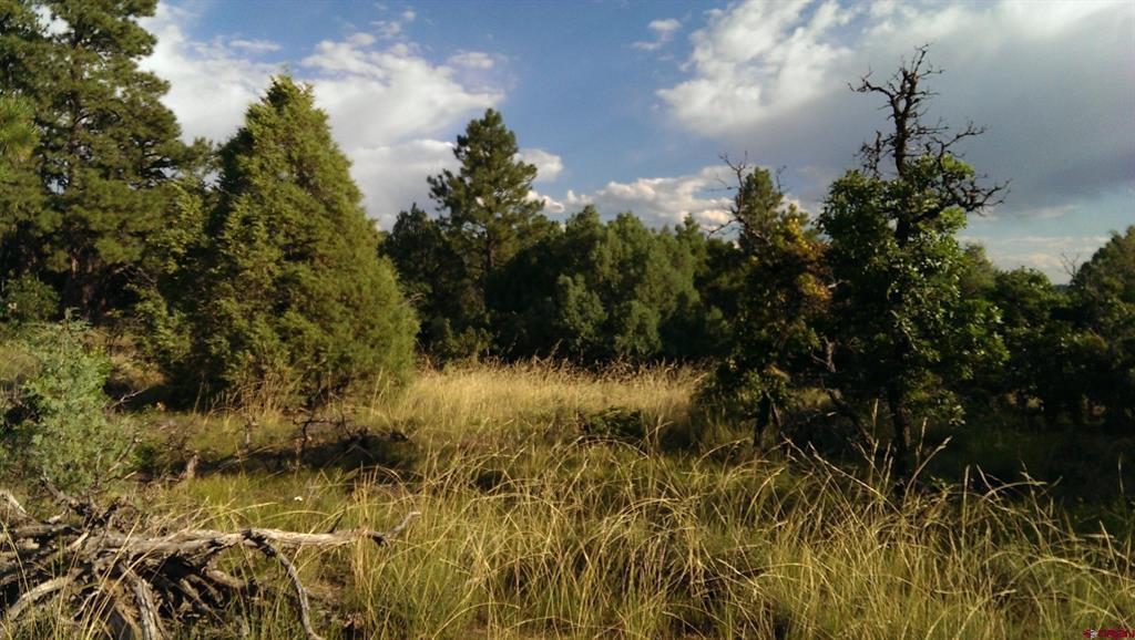 43 Butzke Court Pagosa Springs CO 81147