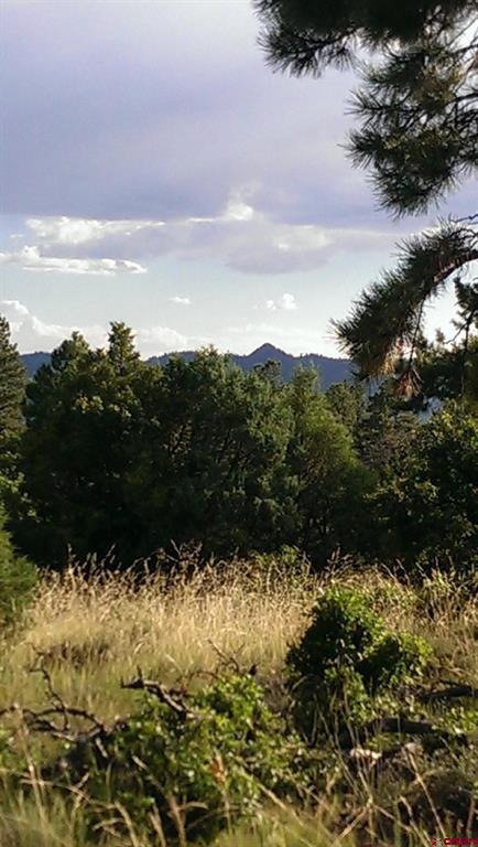 43 Butzke Court Pagosa Springs CO 81147
