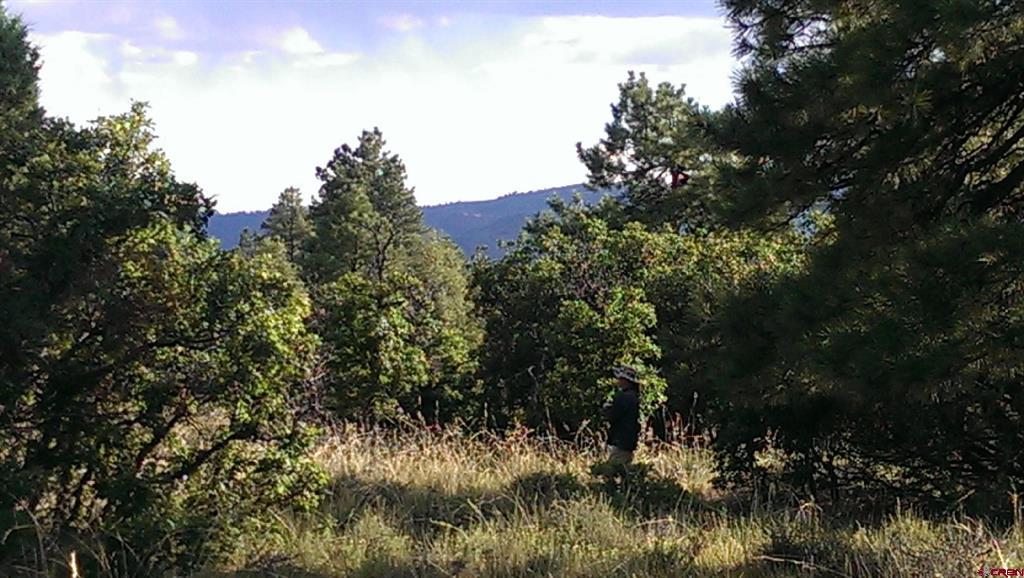 43 Butzke Court Pagosa Springs CO 81147