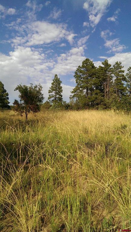 43 Butzke Court Pagosa Springs CO 81147
