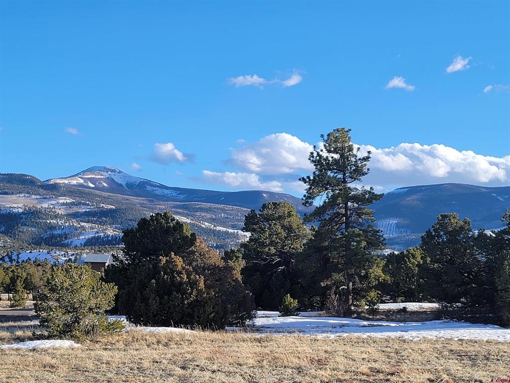 4413 Bear Creek Circle South Fork CO 81154
