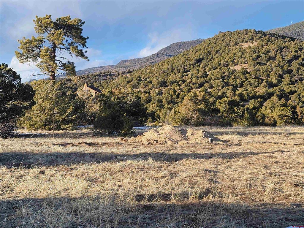 4413 Bear Creek Circle South Fork CO 81154