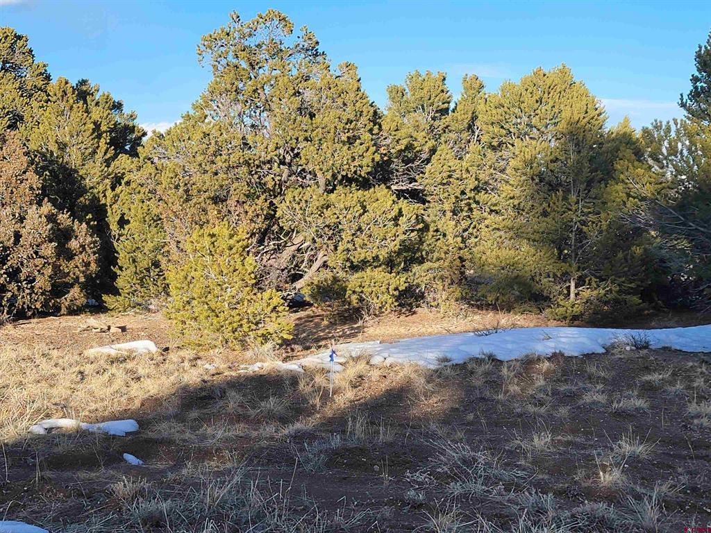 4413 Bear Creek Circle South Fork CO 81154