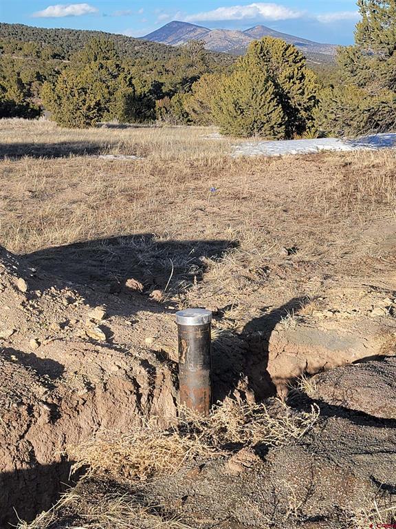 4413 Bear Creek Circle South Fork CO 81154