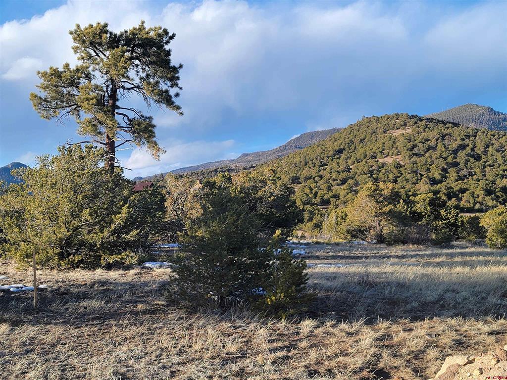 4413 Bear Creek Circle South Fork CO 81154