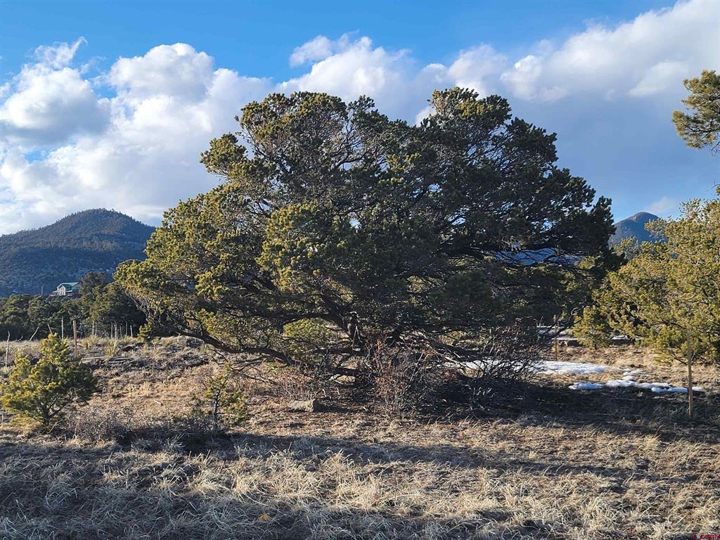 4413 Bear Creek Circle South Fork CO 81154