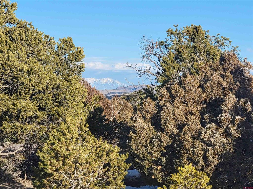 4413 Bear Creek Circle South Fork CO 81154