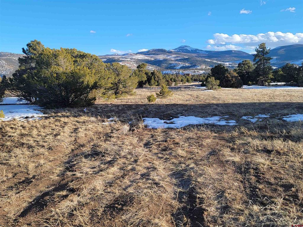 4413 Bear Creek Circle South Fork CO 81154
