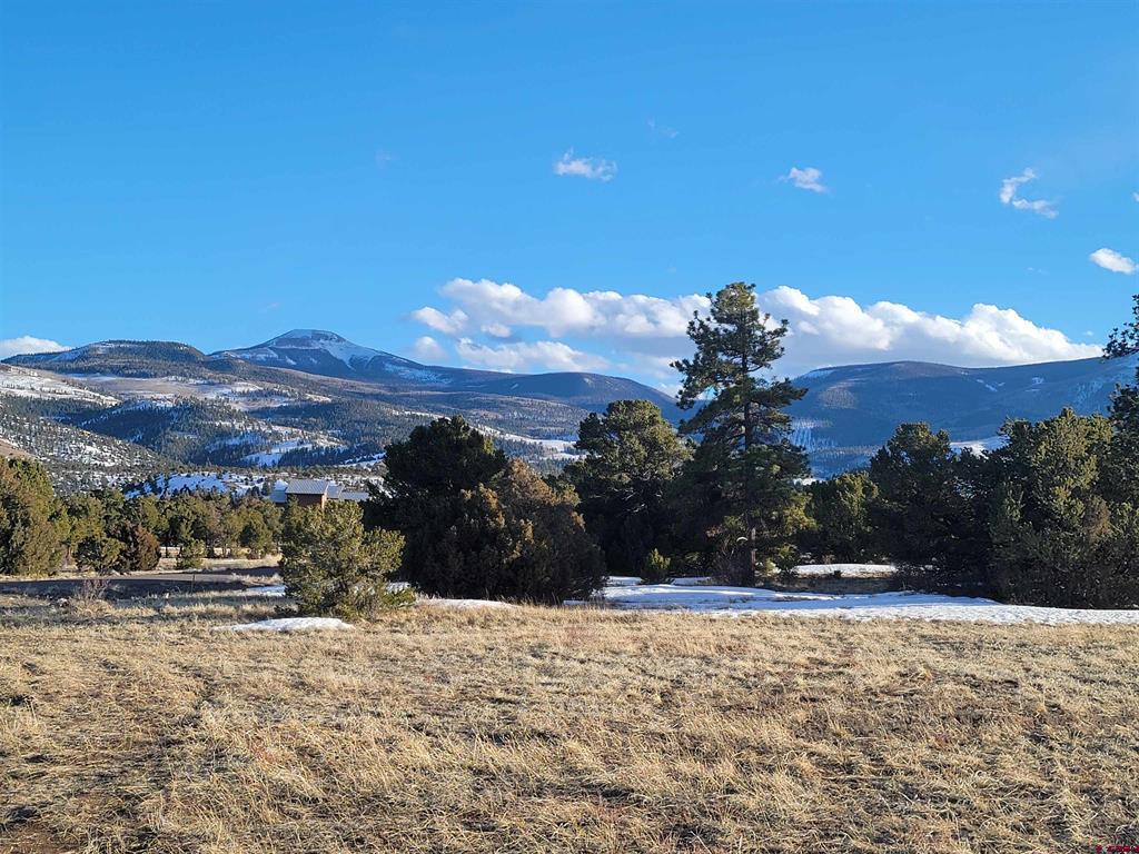 4413 Bear Creek Circle South Fork CO 81154