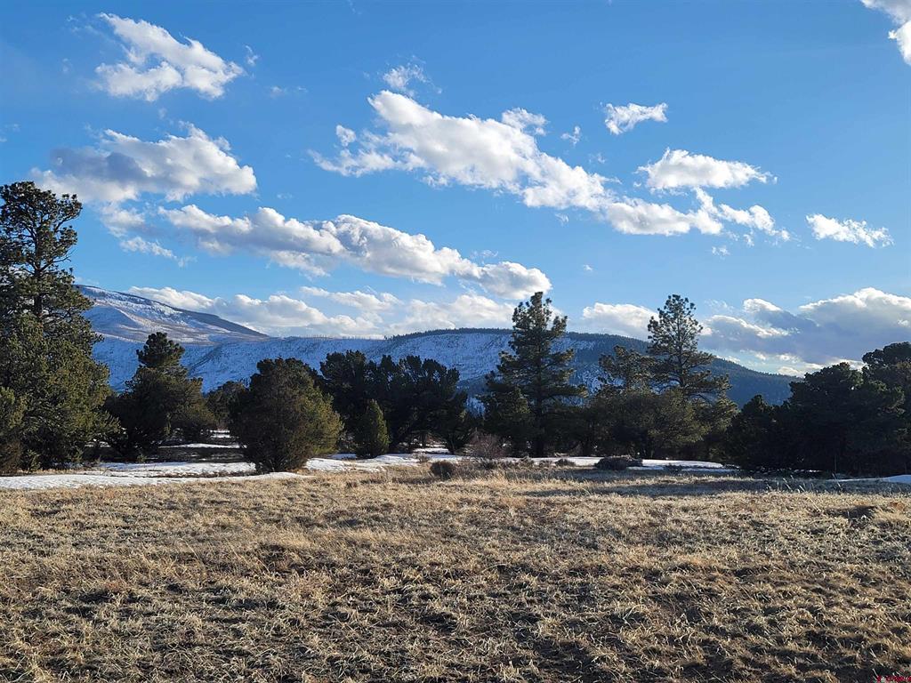 4413 Bear Creek Circle South Fork CO 81154
