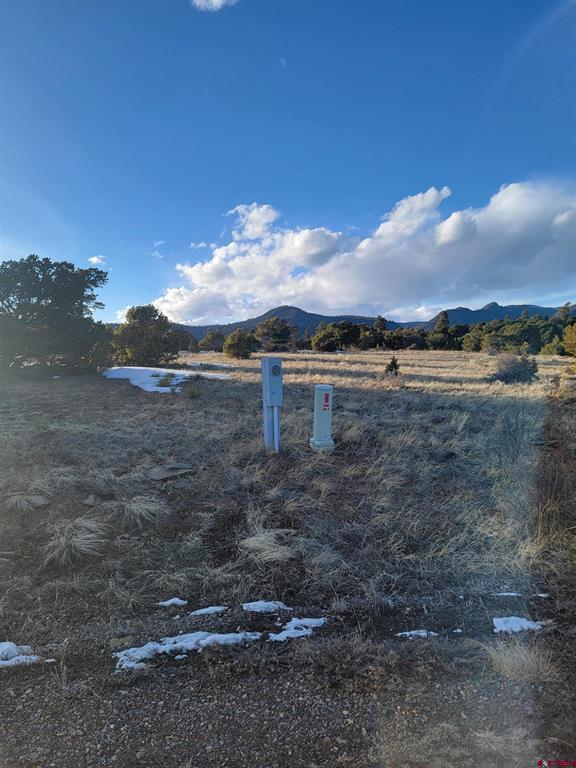 4413 Bear Creek Circle South Fork CO 81154