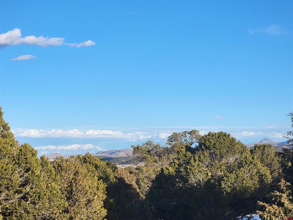 4413 Bear Creek Circle South Fork CO 81154