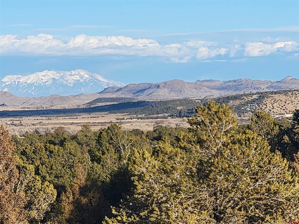 4413 Bear Creek Circle South Fork CO 81154