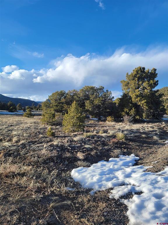 4413 Bear Creek Circle South Fork CO 81154