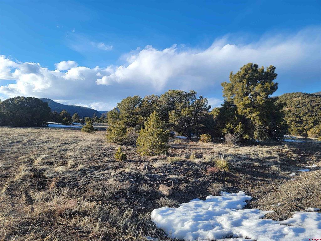 4413 Bear Creek Circle South Fork CO 81154