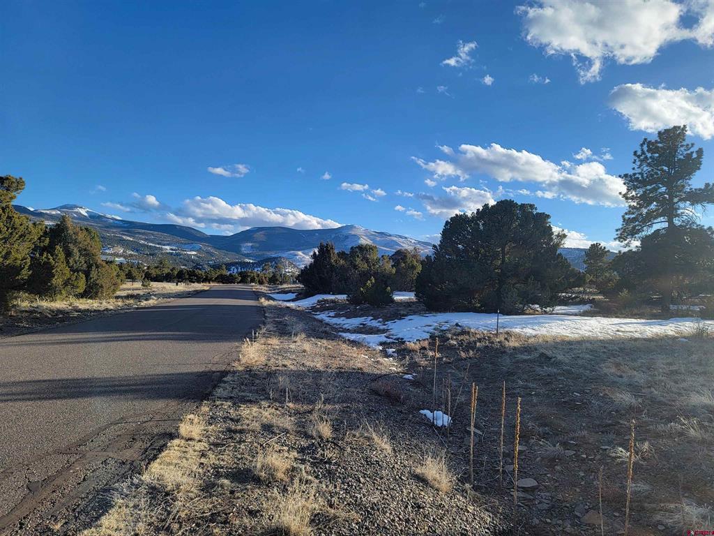 4413 Bear Creek Circle South Fork CO 81154