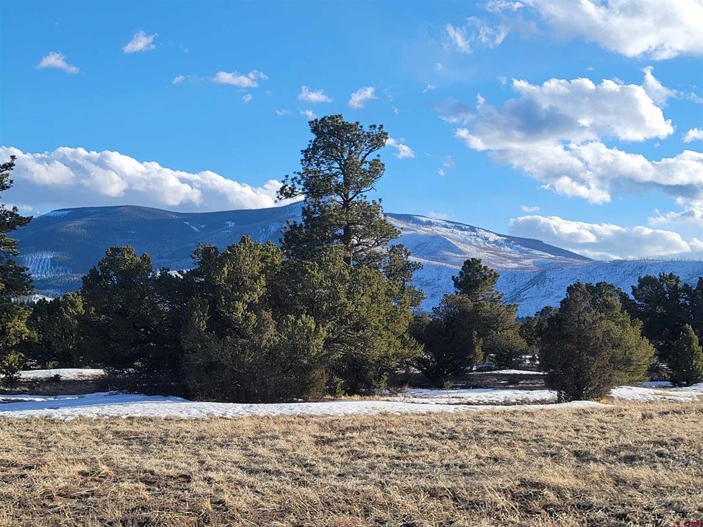 4413 Bear Creek Circle South Fork CO 81154