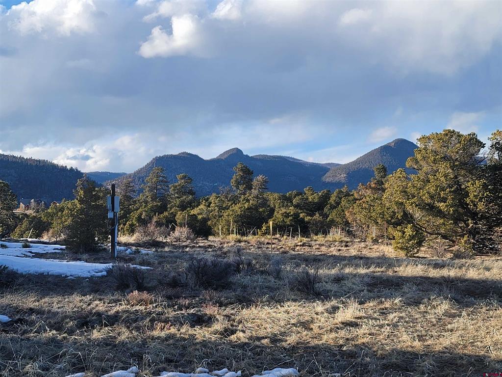 4413 Bear Creek Circle South Fork CO 81154