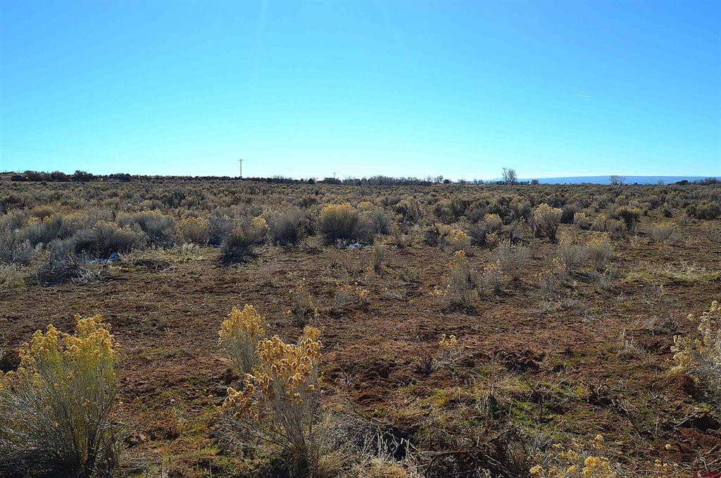 Lot 2 Mesa Lane Hesperus CO 81326