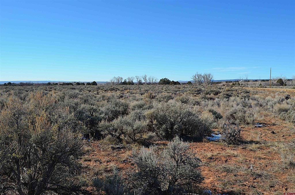 Lot 2 Mesa Lane Hesperus CO 81326