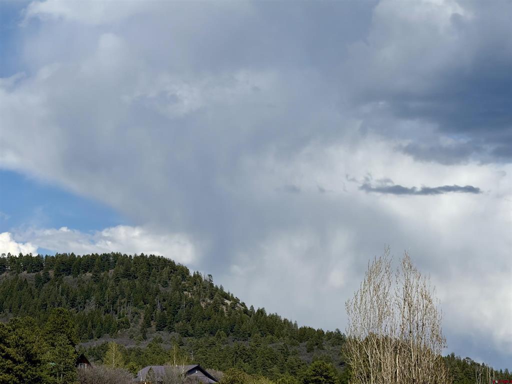 30 Flintlock Place Pagosa Springs CO 81147