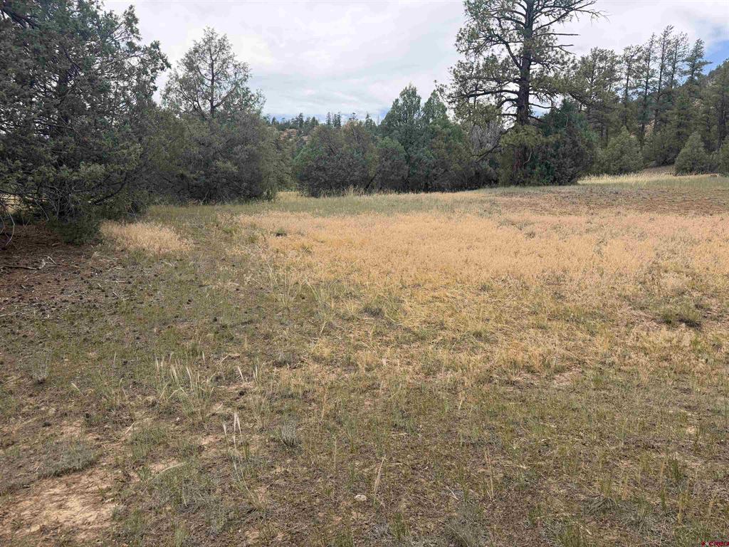 X Calderwood Place Pagosa Springs CO 81147