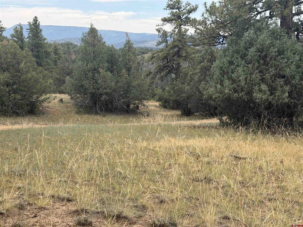 X Calderwood Place Pagosa Springs CO 81147