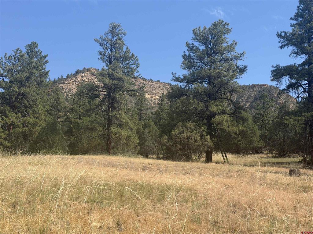 X Calderwood Place Pagosa Springs CO 81147