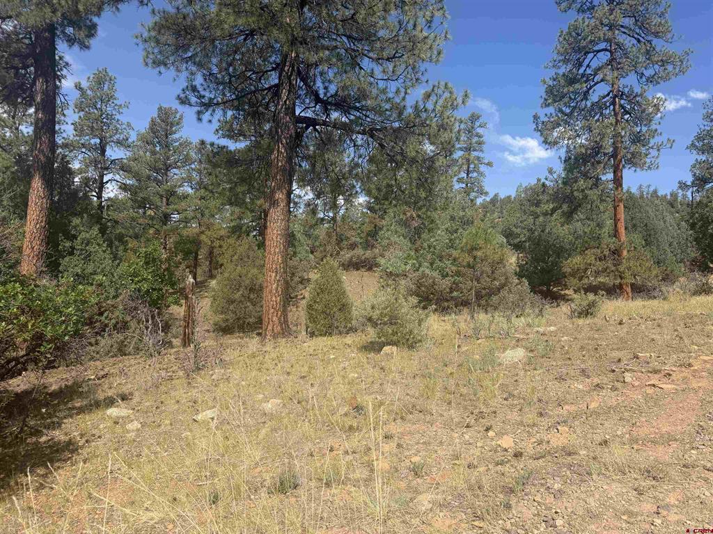 X Calderwood Place Pagosa Springs CO 81147
