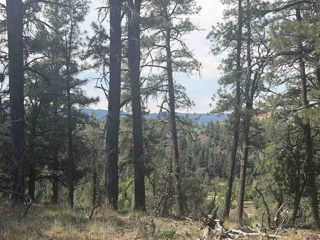 X Calderwood Place Pagosa Springs CO 81147