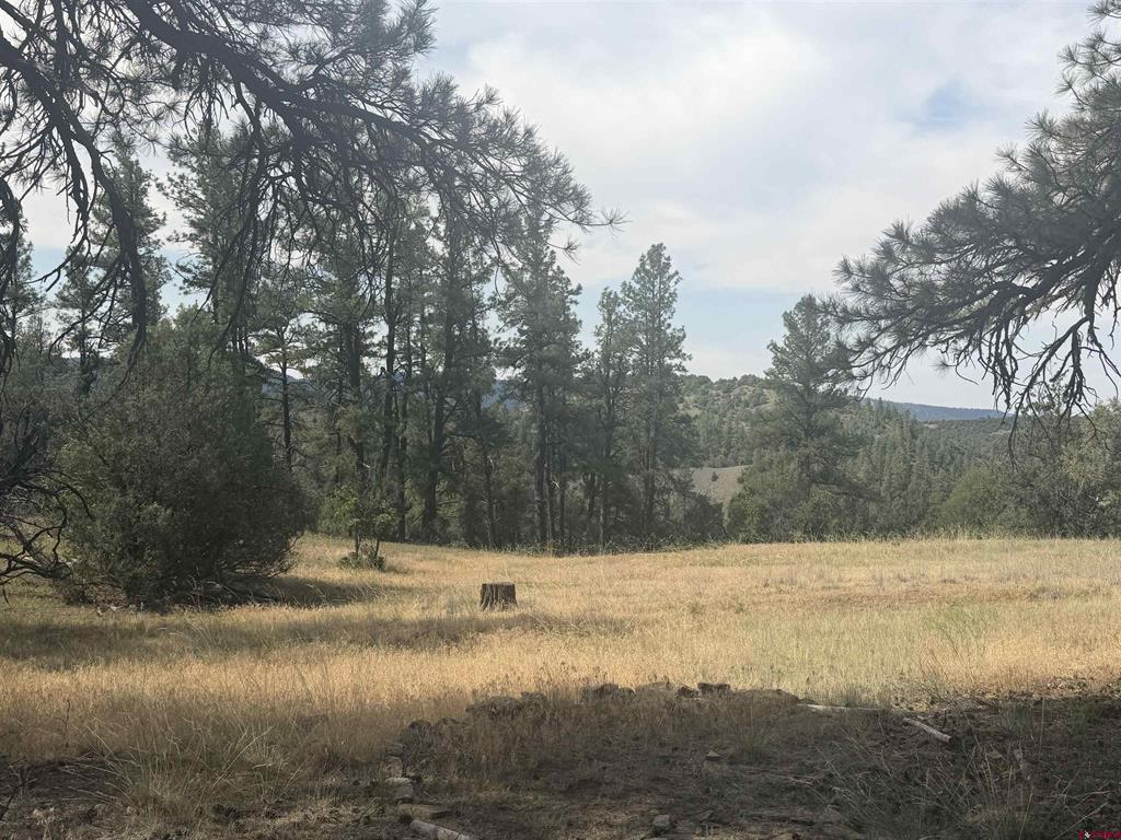 X Calderwood Place Pagosa Springs CO 81147