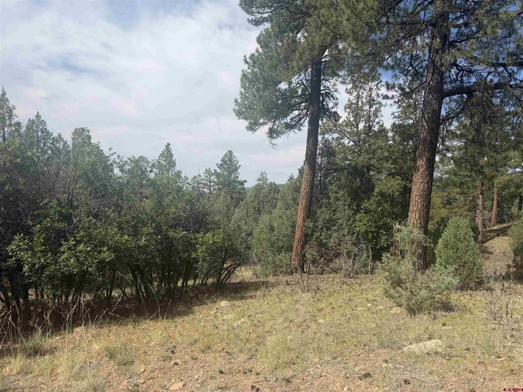 X Calderwood Place Pagosa Springs CO 81147
