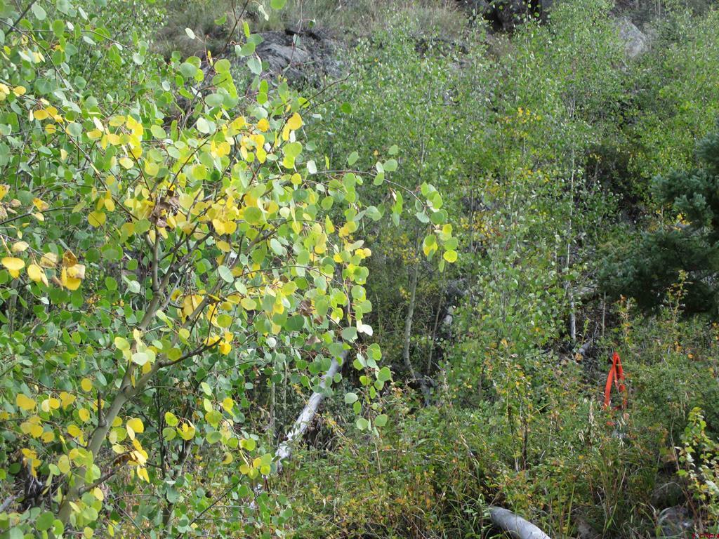 Tbd County Road 30 Road Lake City CO 81235