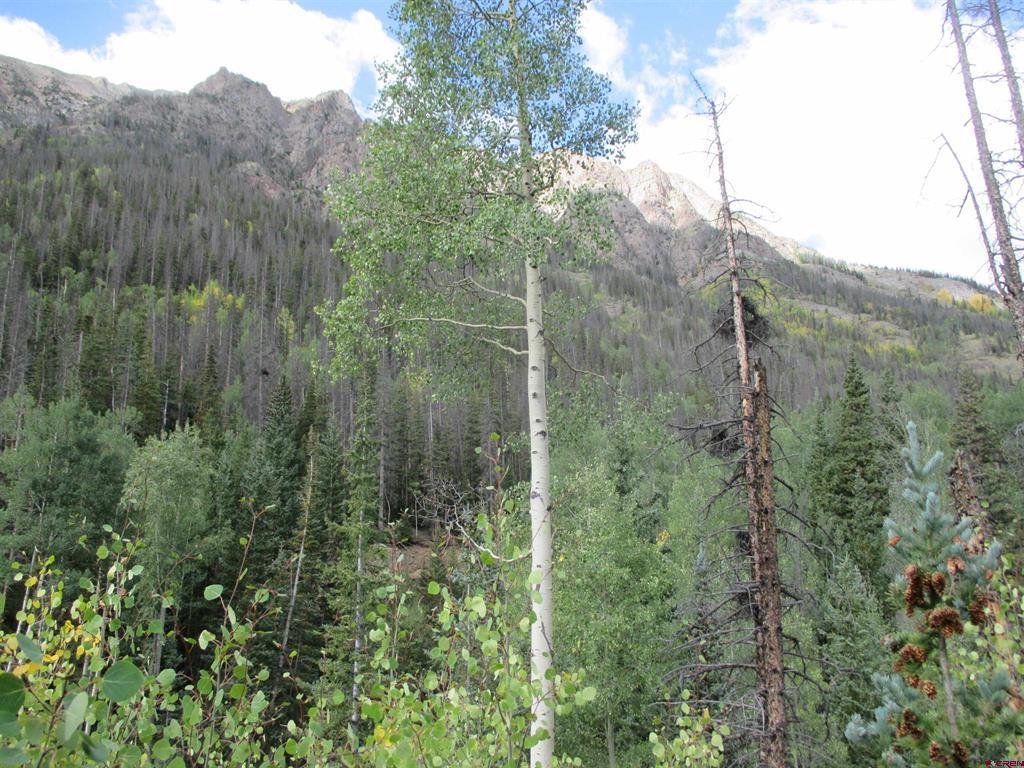 Tbd County Road 30 Road Lake City CO 81235