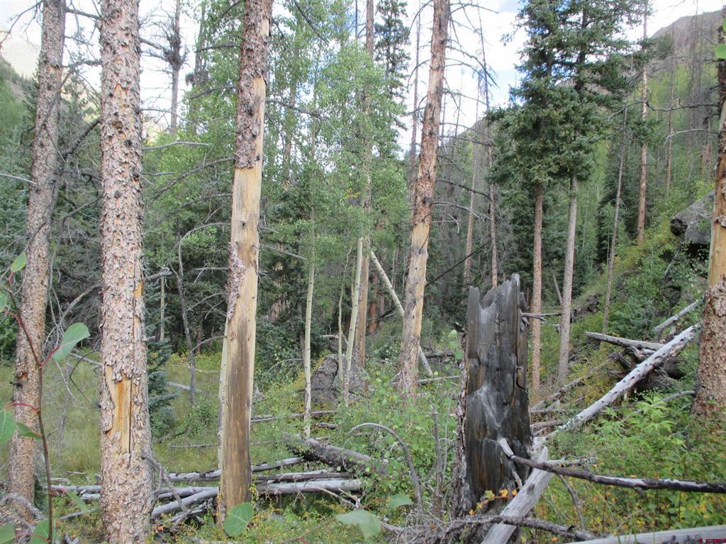 Tbd County Road 30 Road Lake City CO 81235