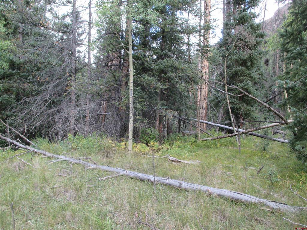 Tbd County Road 30 Road Lake City CO 81235