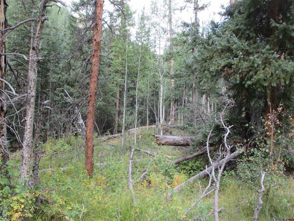 Tbd County Road 30 Road Lake City CO 81235