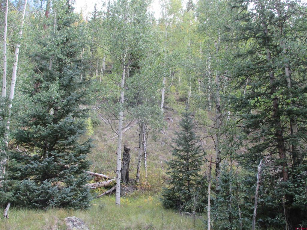 Tbd County Road 30 Road Lake City CO 81235