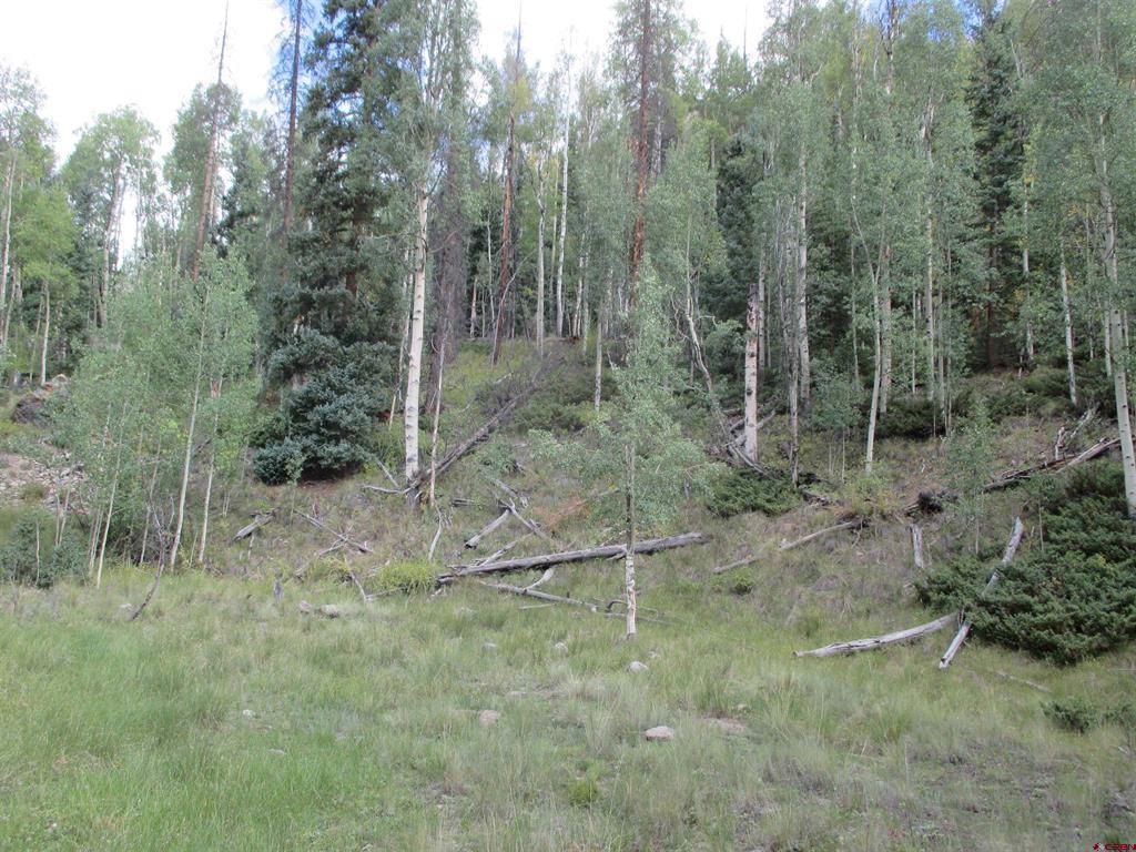 Tbd County Road 30 Road Lake City CO 81235