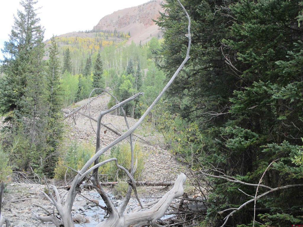 Tbd County Road 30 Road Lake City CO 81235