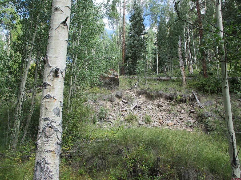 Tbd County Road 30 Road Lake City CO 81235