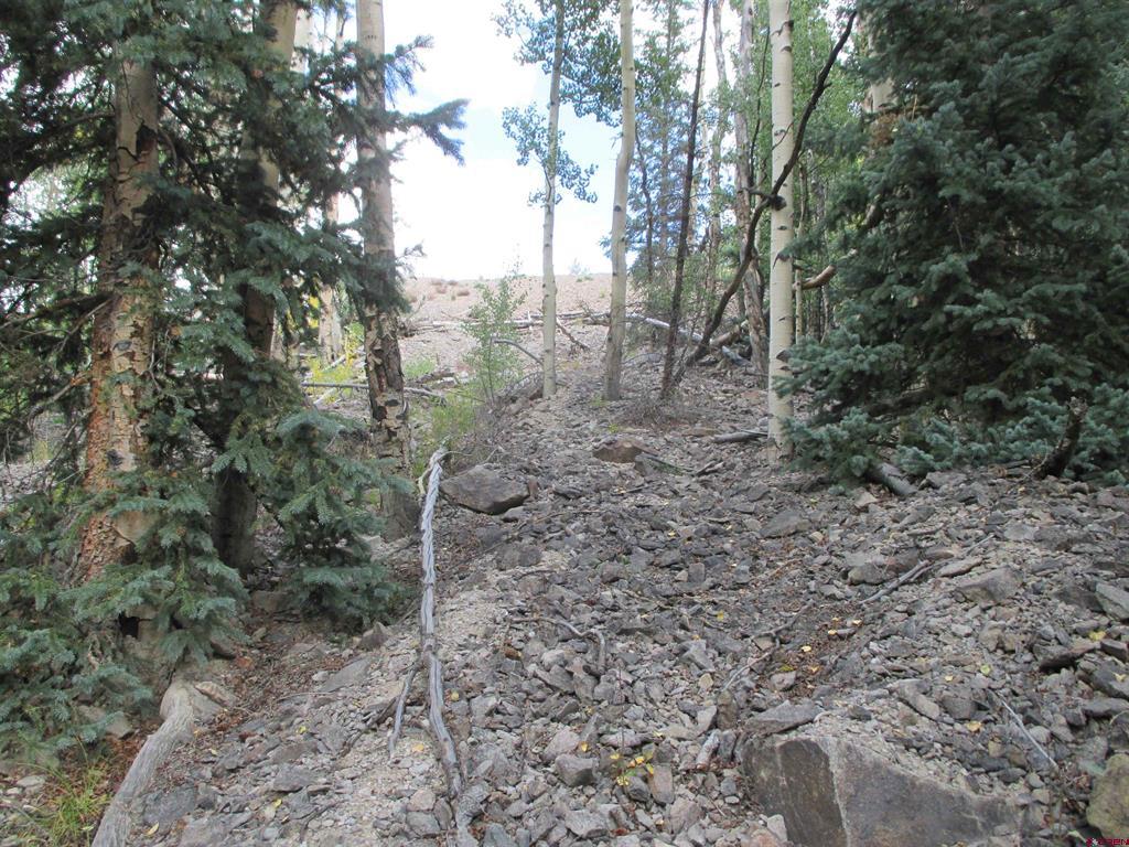 Tbd County Road 30 Road Lake City CO 81235