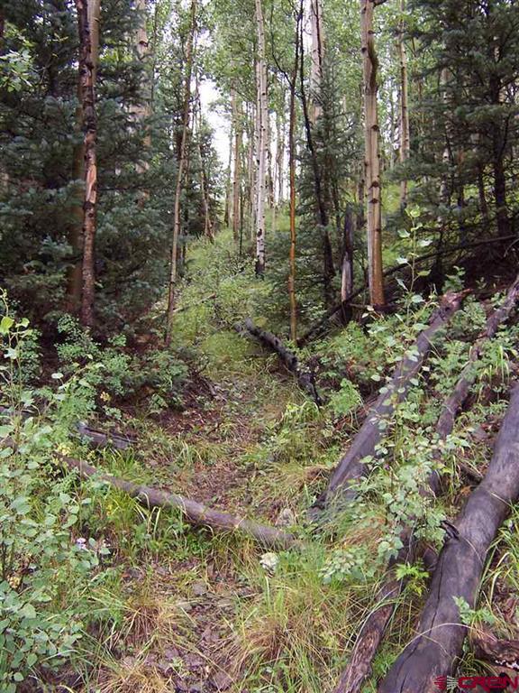 Tbd County Road 30 Road Lake City CO 81235