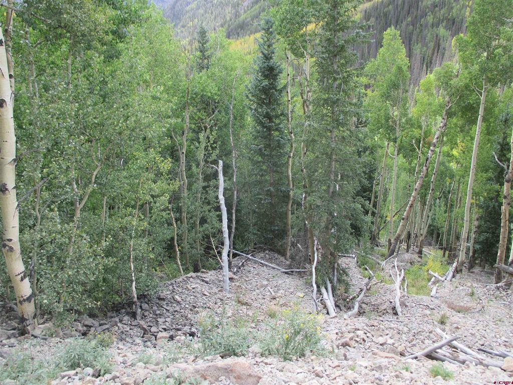 Tbd County Road 30 Road Lake City CO 81235