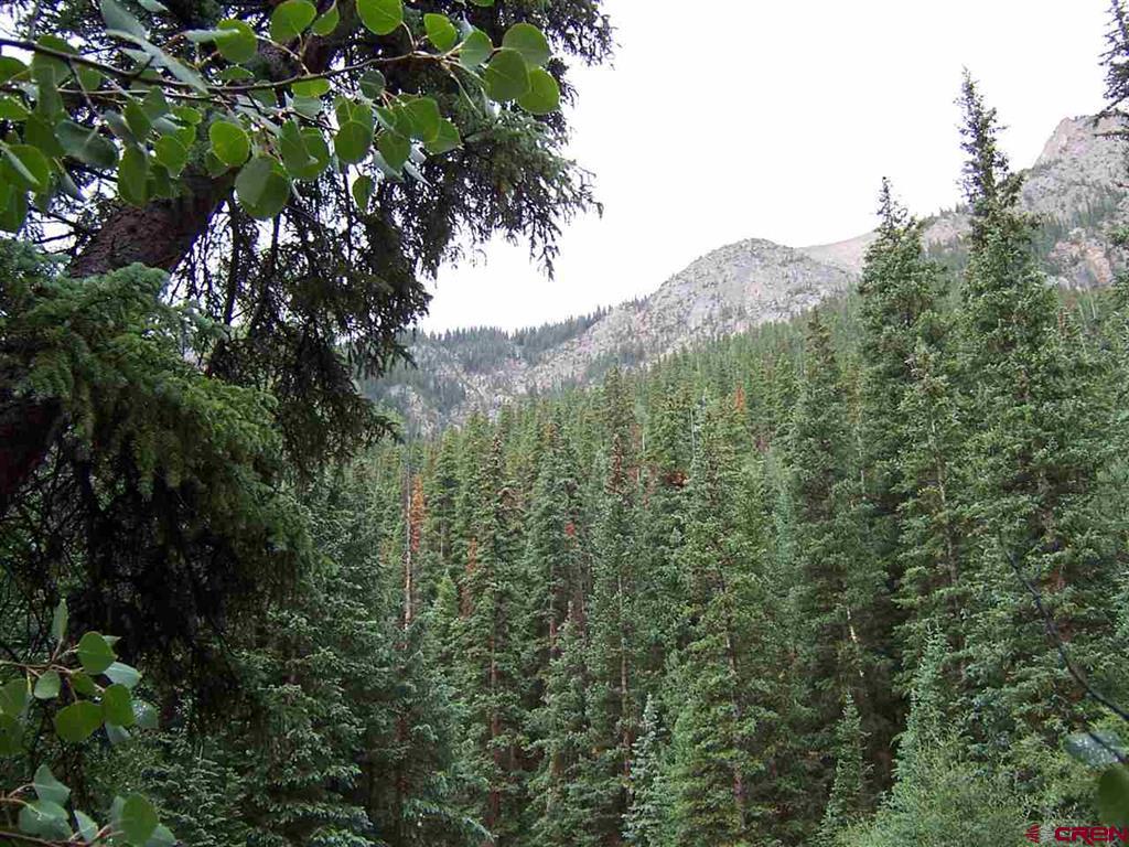 Tbd County Road 30 Road Lake City CO 81235