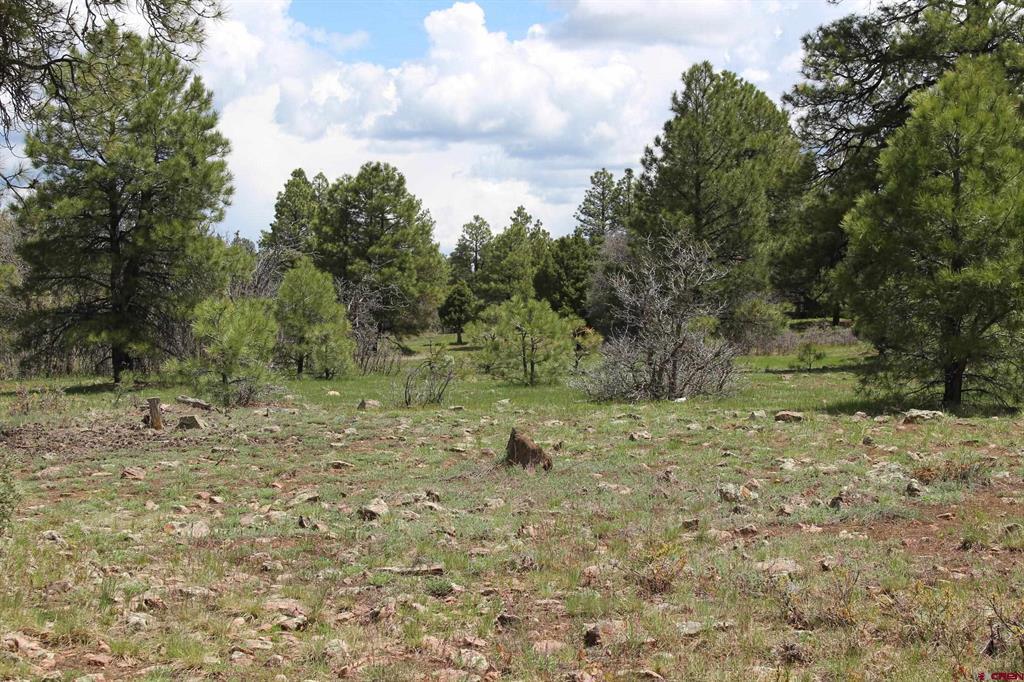260 Mariposa Pagosa Springs CO 81147