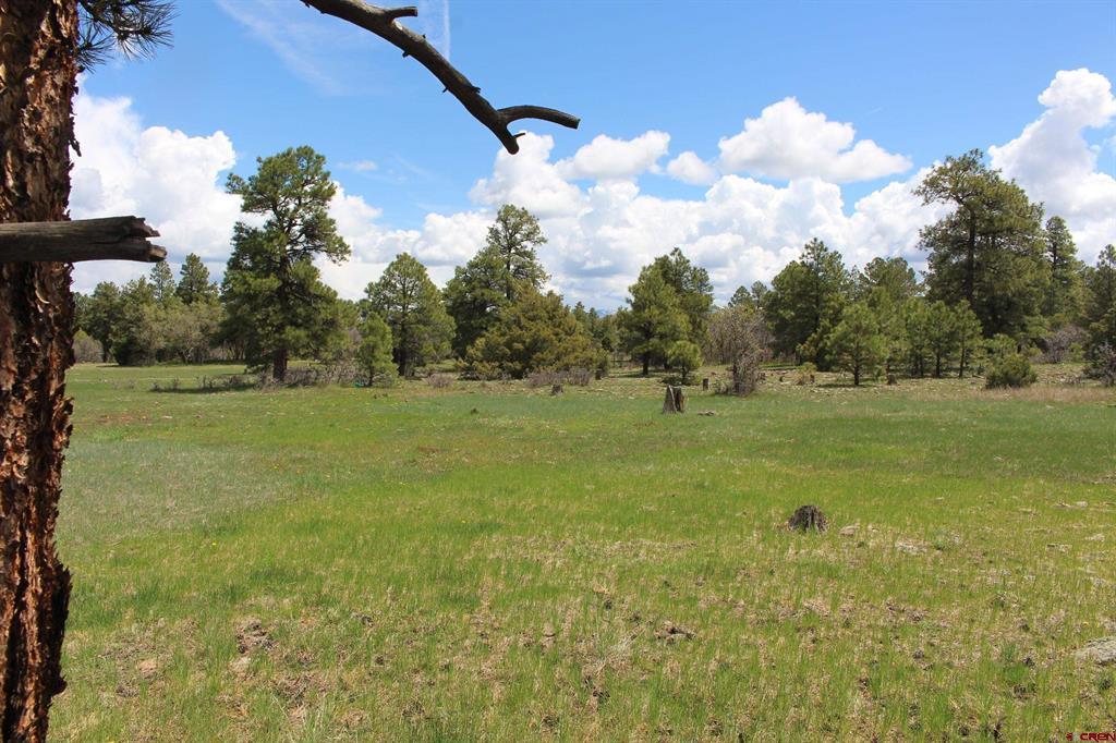 260 Mariposa Pagosa Springs CO 81147