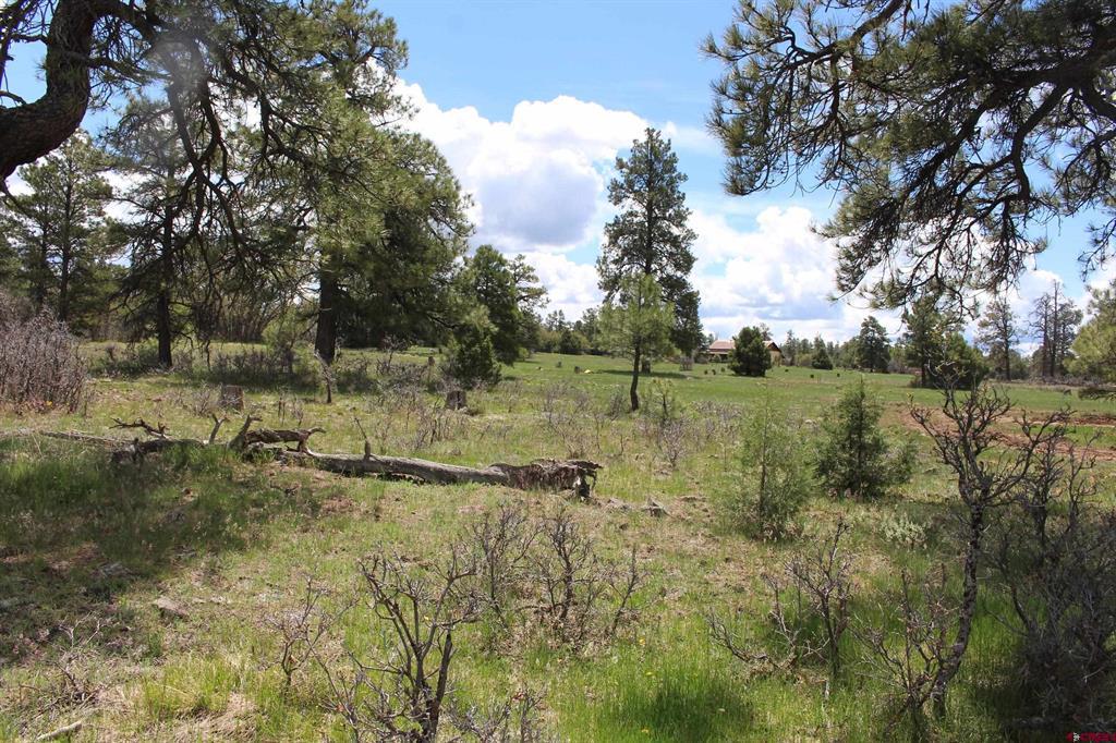 260 Mariposa Pagosa Springs CO 81147