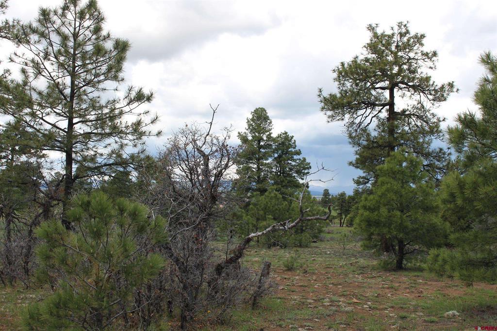 260 Mariposa Pagosa Springs CO 81147